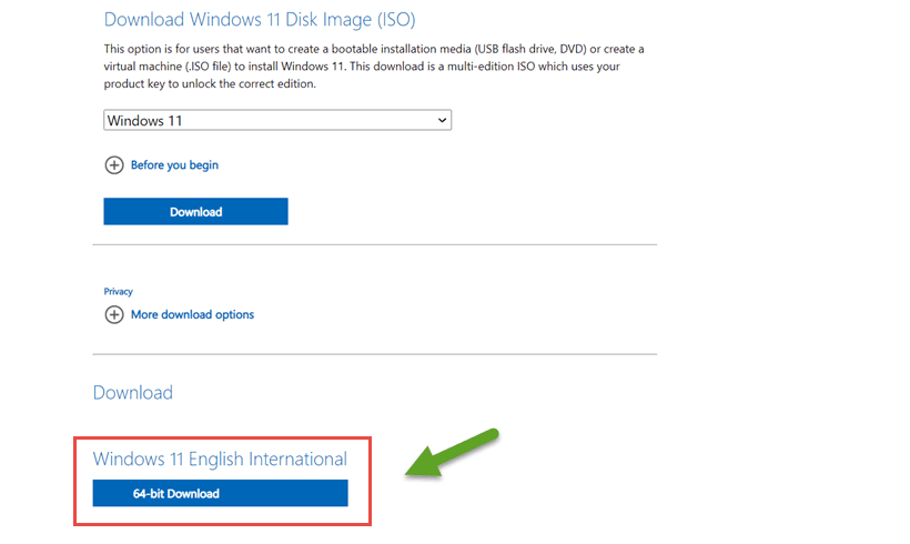 Cách Download Windows 11 ISO gốc từ Microsoft